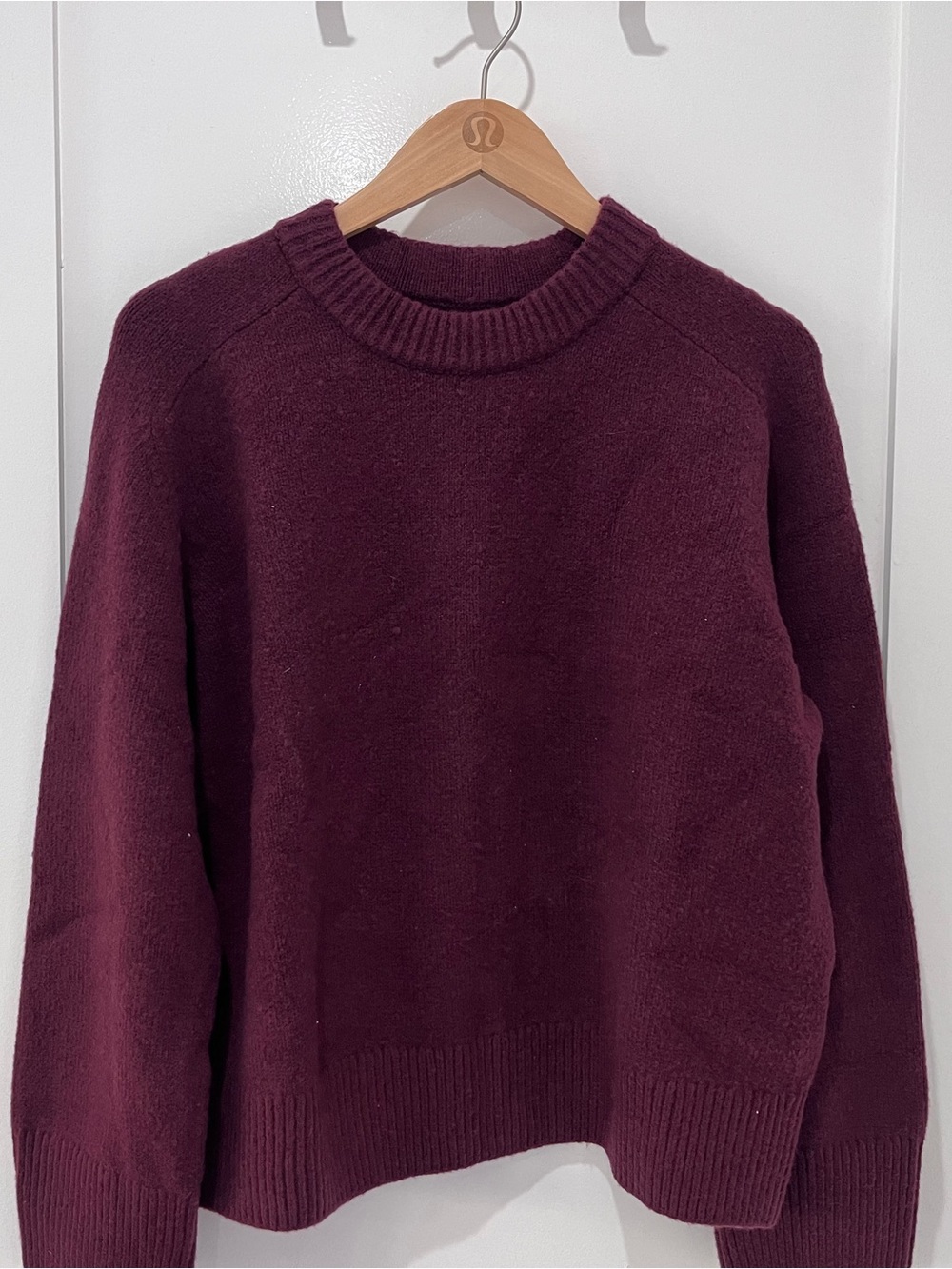 NWT Abercrombie & Fitch Madeline Crew Sweater